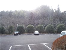 雪は降らない地元ですが