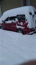 粉砂糖のような… 