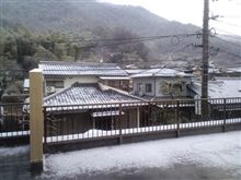 おはようございます(*・ω・)ノ