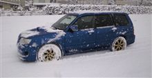 フォレには雪がよく似合う。Ⅱ