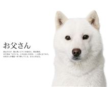 ガイアの夜明け