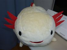 あほチャン