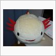 あほチャン