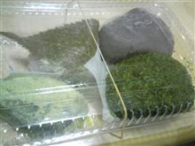 関西限定？