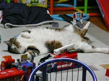 【怪獣】・・・。