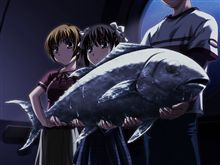 ここ最近の出来事とかｗ