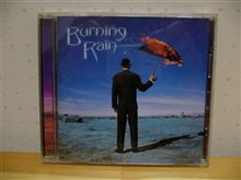 「Smooth Locomotion」　Burning　Rain