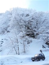 ヌクヌクノケン