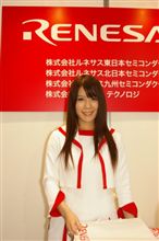 楢崎京子さん　inナノテクノロジー2010