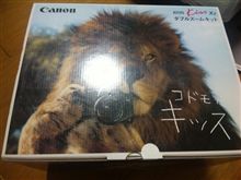 買っちゃいました(ﾟωﾟ;)