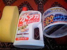 気合い入れて洗車しました。
