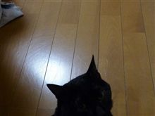 宿命。