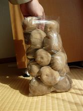 今日の成果(激安スーパーのアレ) 今日の成果(激安スーパーのアレ)