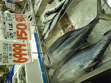 マグロ一尾6,999円！