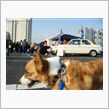 2010 　ニュー　イヤー　 ...