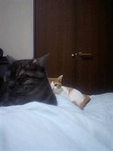 二週間ぶりのお休みo(^-^)o