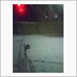 家の前の道路にも積もり始めた