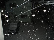 雪がすご～い(ーー;)