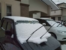 今朝の我が家の二台