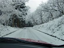 先日の雪の感じ