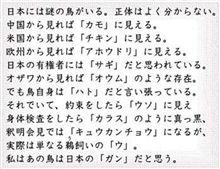 謎の鳥は？？