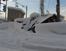 雪の爪痕