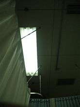 見知らぬ天井