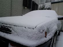 雪!!(-&quot;-;)
