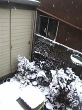 雪