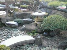 今日は大人しくしときますか。