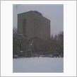 あの～吹雪なんですが