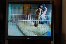 【親馬鹿】　盗撮してます(笑)