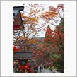 京都-鞍馬寺