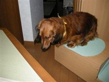 YH線の不思議