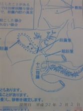 4日目　【後編】　～6日目