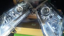 目玉商品～購入しました