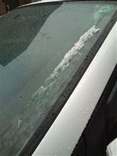 またも雪