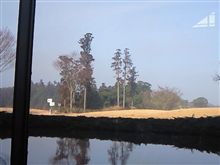 まったりと、スタート待ち