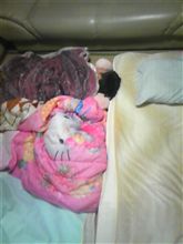 何故こんなに？