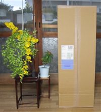 こんなの届いた！