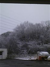 今年はよく降るなあ(&#180;～`；)