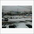 雪ですね～(&#180;д｀)