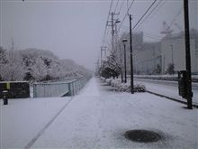 雪～♪