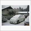 また降った