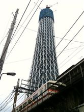 只今303m 順調に育ってマス♪