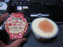 勝ったーど！プリン