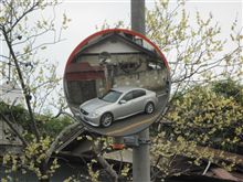 鏡に映った・・・