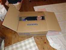 ＯＮＫＹＯ来たよ！