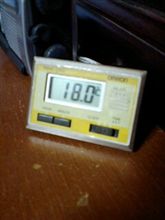 ２月だと言うのに
