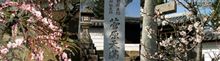 菅原神社のおんだまつり、何それ? 菅原神社のおんだまつり、何それ?
